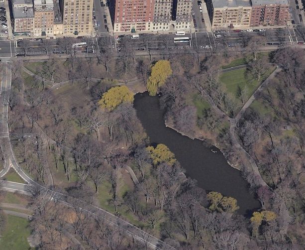 central park the pond: central park the pool 2